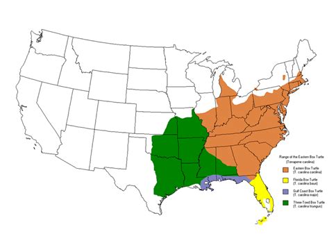 box turtle distribution map|eastern box turtle location.